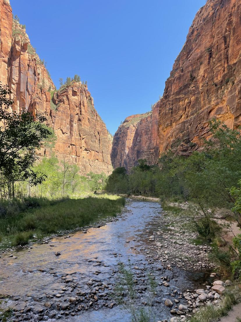 Canyon walls narrowing in Zion