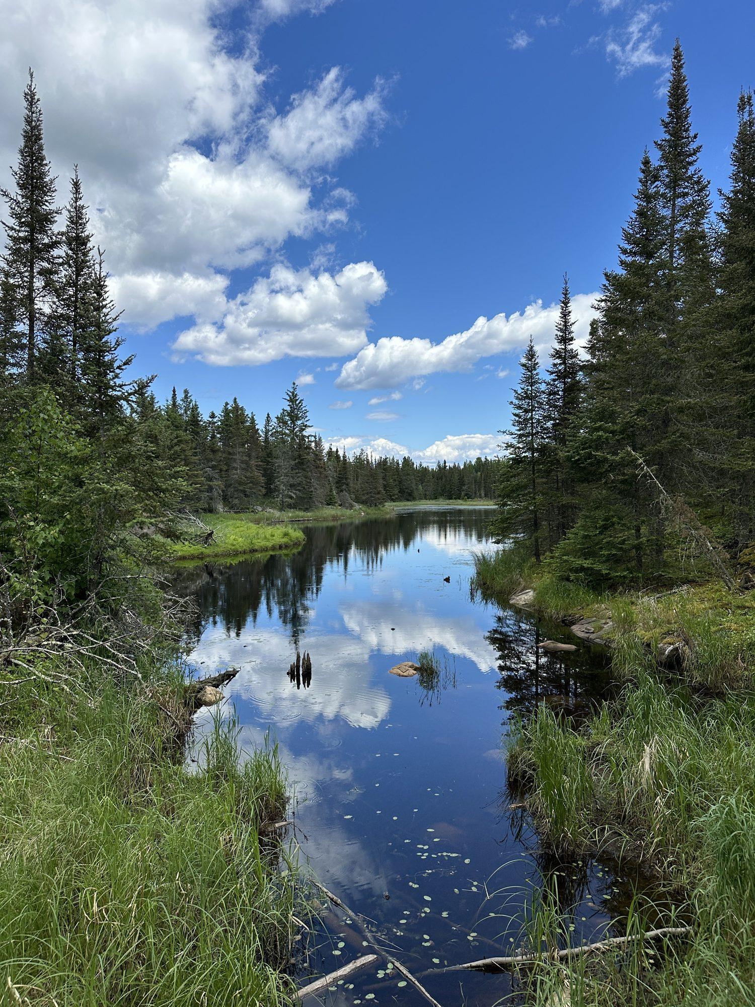 A still lake reflecting pines in Voyageurs